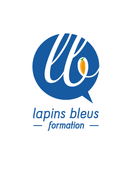 développement filemaker lapins bleus formation